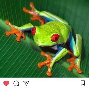 Meet your Posher, Christine